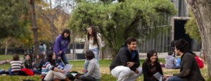 Programa Talento e Inclusión