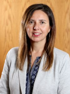 procesos colaborativos