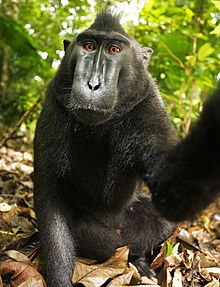 selfie