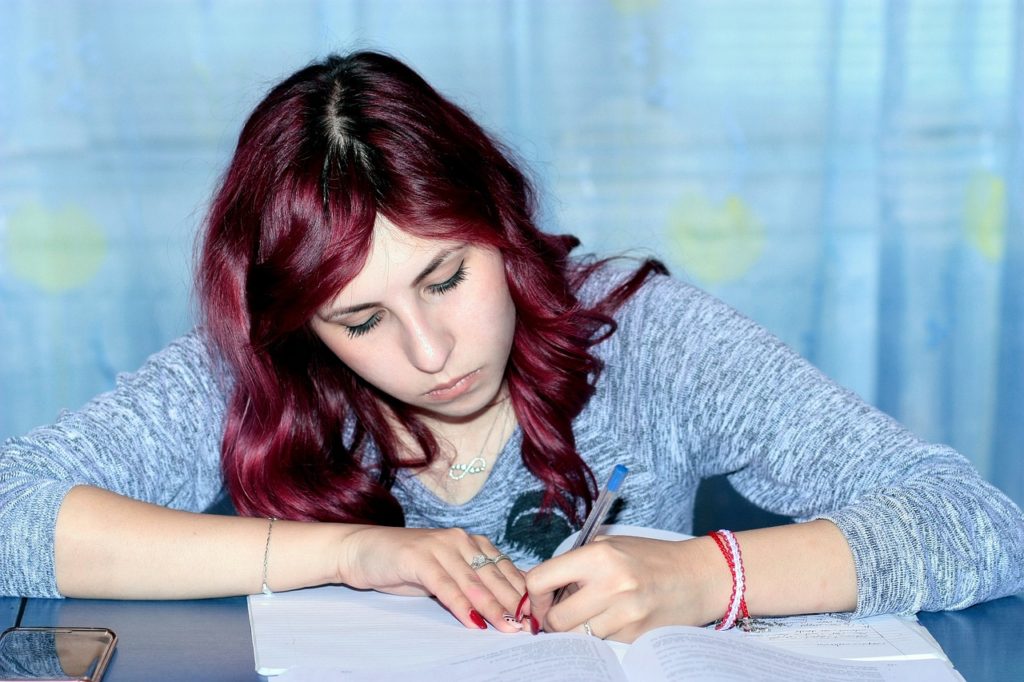 Con 162 alumnos comenzará el preuniversitario que imparten los alumnos de Derecho de la U. de Chile