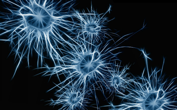 Salud mental para abogados y estudiantes