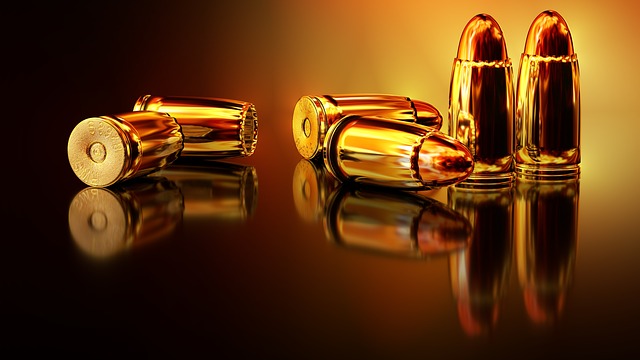 Nuevo protocolo de armas en Argentina