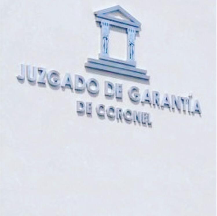 Chile: Declaración pública de profesores de derecho procesal sobre el rol de los Jueces de Garantía