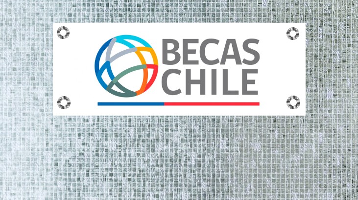 Suspensión de Becas Chile: alumnos al borde de un abismo