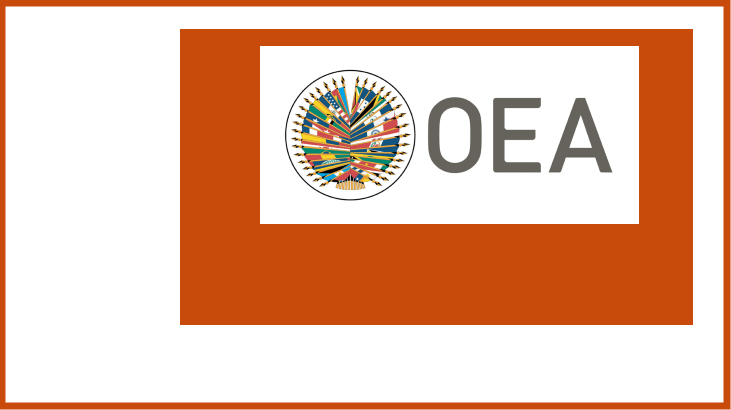 OEA exhorta a Chile a impedir la impunidad