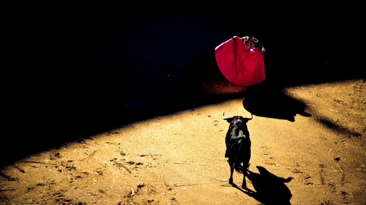 Las corridas de toros en Francia: un tabú político 