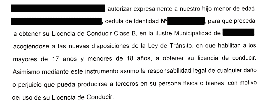 auxiliar de justicia