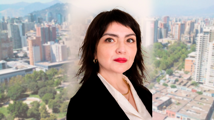 Sara Moreno, sobre los daños punitivos: «Los Frankenstein jurídicos me parecen experiencias azarosas»