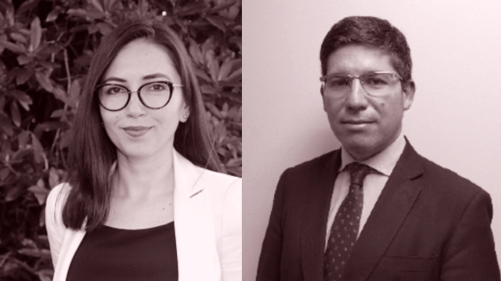 M. Elisa Morales / Renzo Munita