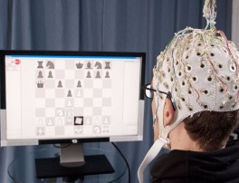 neuroderechos