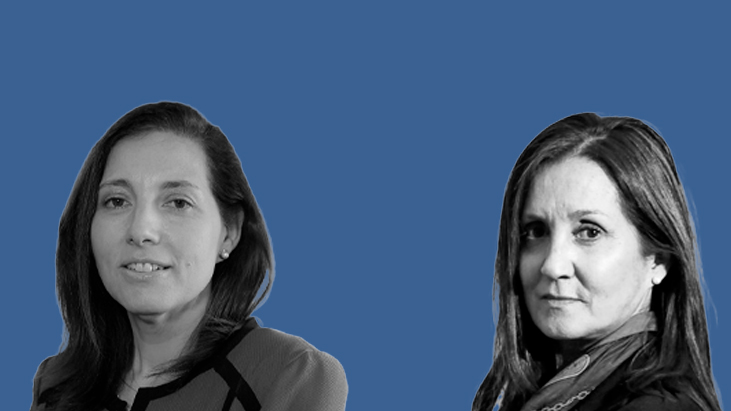 Los nuevos cargos públicos de dos exconsejeras del Colegio de Abogados de Chile