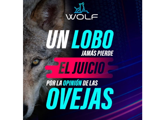 Grupo Wolf - Chile 2