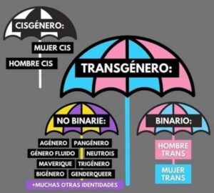 Cédula no binaria