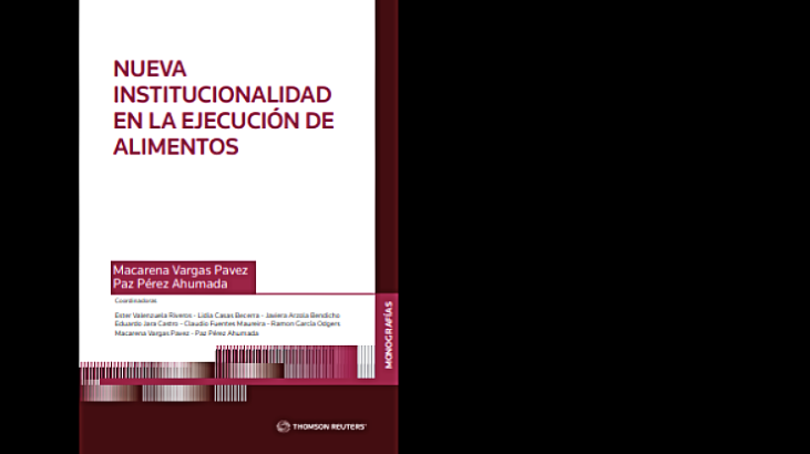 La ejecución de alimentos se inserta en una nueva institucionalidad
