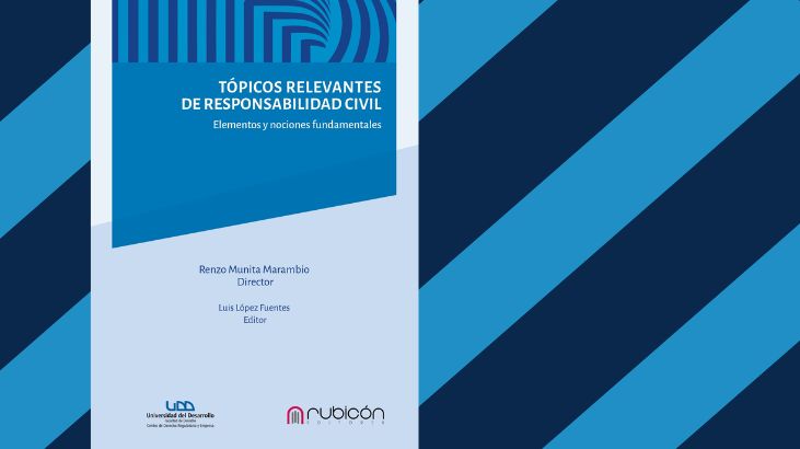 Universidad del Desarrollo publicará libro sobre las problemáticas de la responsabilidad civil chilena