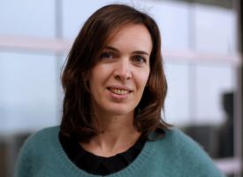 interdisciplinariedad